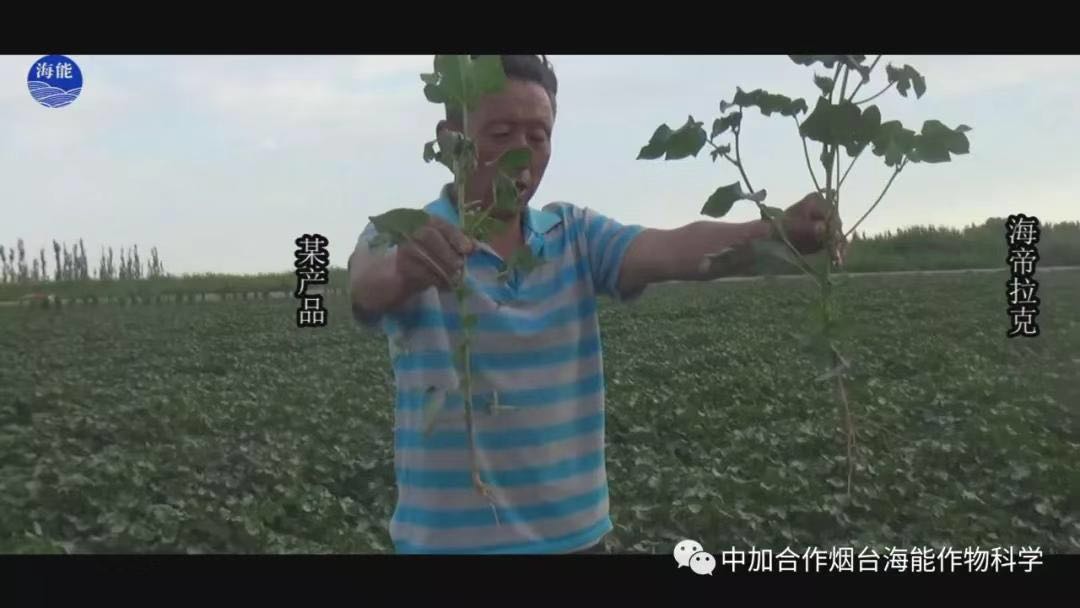 颗粒水溶肥