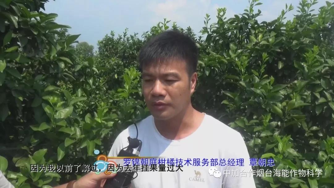 颗粒水溶肥