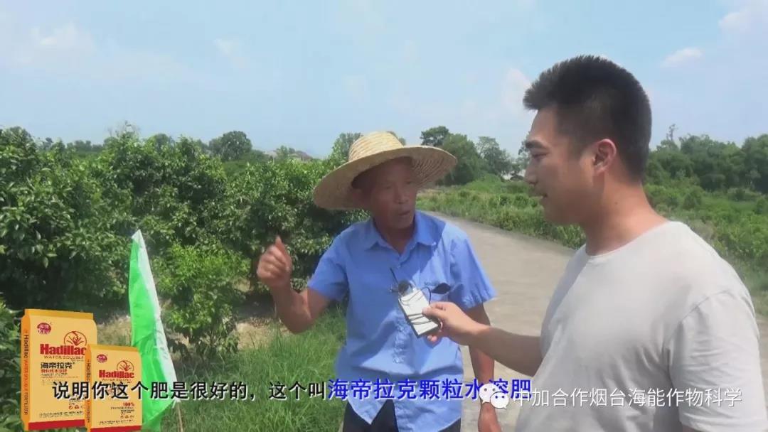颗粒水溶肥