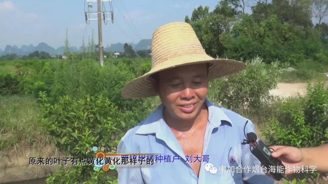 颗粒水溶肥