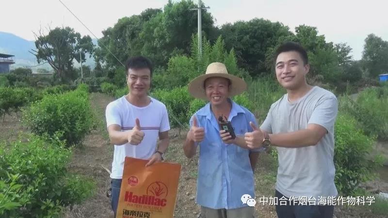 颗粒水溶肥