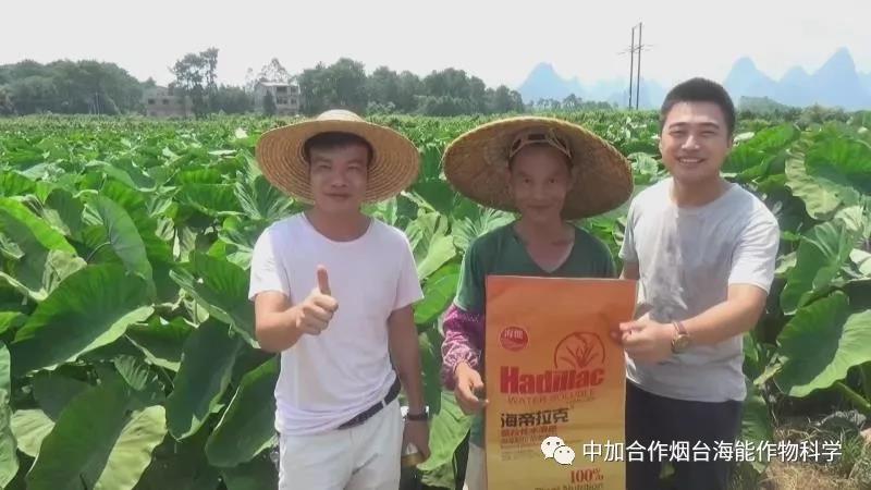 颗粒水溶肥