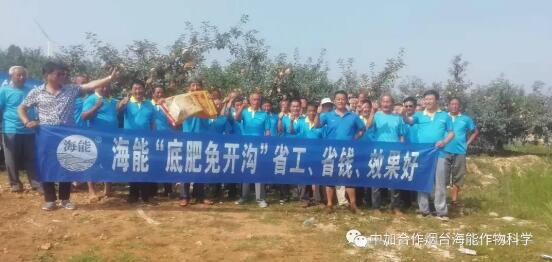 黄瓜软件下载底肥免开沟 用效果说话！