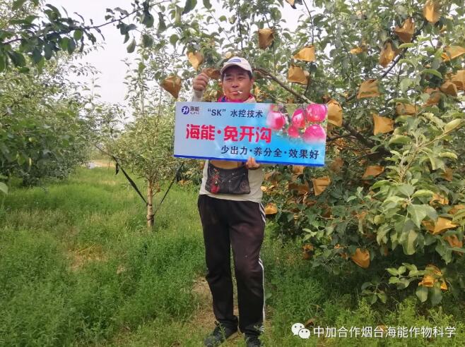 黄瓜软件下载底肥免开沟 用效果说话！