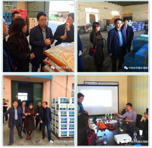 黄瓜软件下载出口品质，专注服务农业 