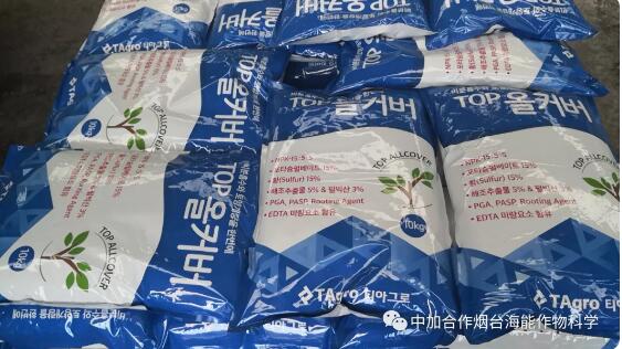 黄瓜软件下载出口品质，专注服务农业 