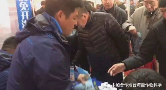 黄瓜软件下载生物带你玩转烟台苗木会