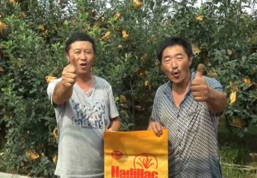 持续大旱突遇大雨侵袭果园 海帝拉克如何扭转乾坤