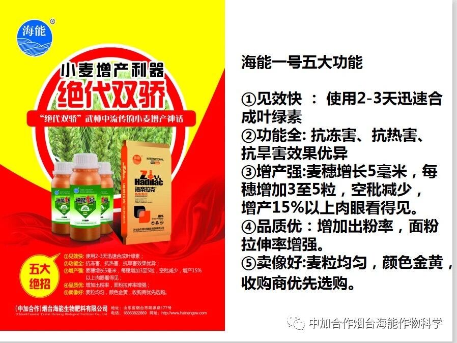 抗寒利器，黄瓜软件下载1号
