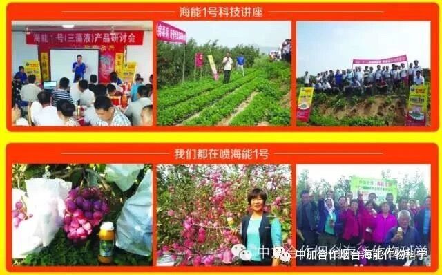 抗寒利器，黄瓜软件下载1号